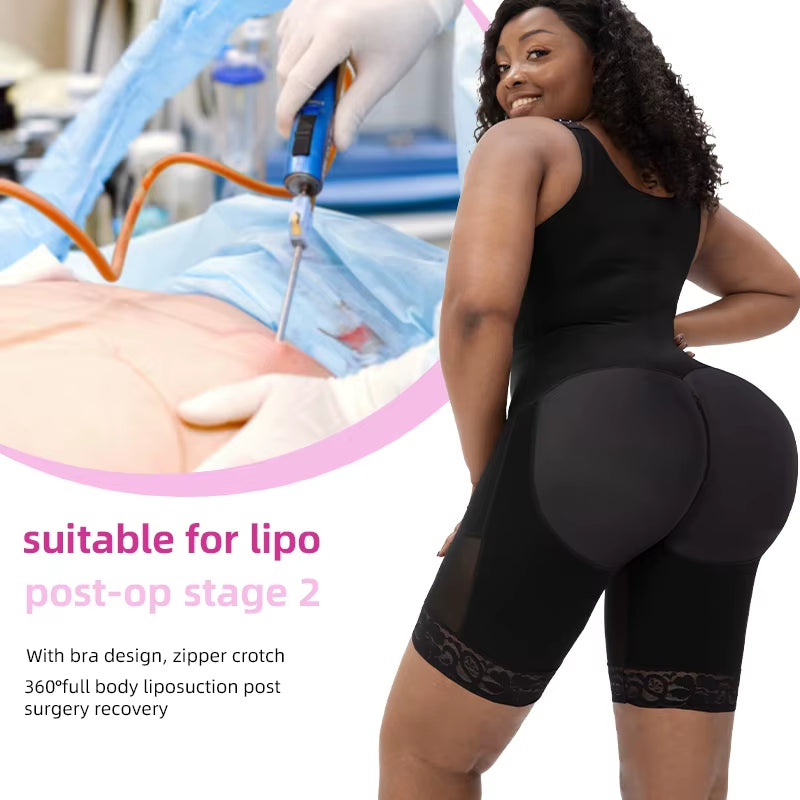 Pure Curve All-in-One Shaper